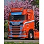 Scania Spatlap Scania (stuk)