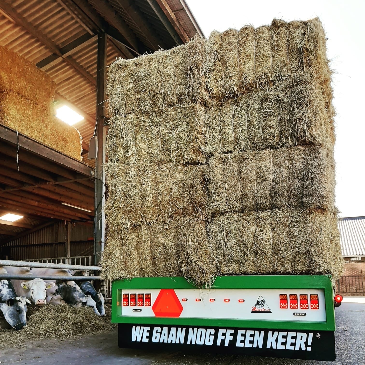 Spatlap "We gaan nog ff een keer!" van Martijn Kuipers