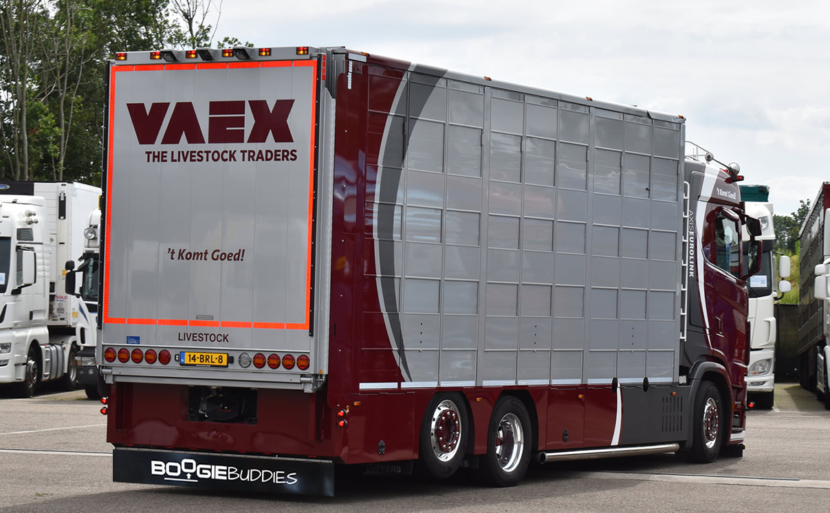 Spatlap Boogiebuddies 250x33 cm