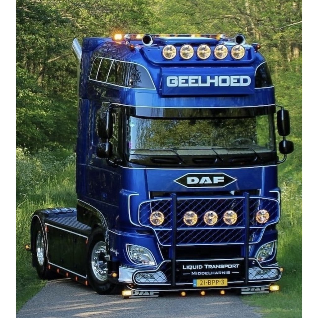 Hypro Hypro Bullbar DAF XF