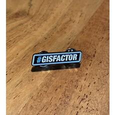 GIS #GISFACTOR Pin