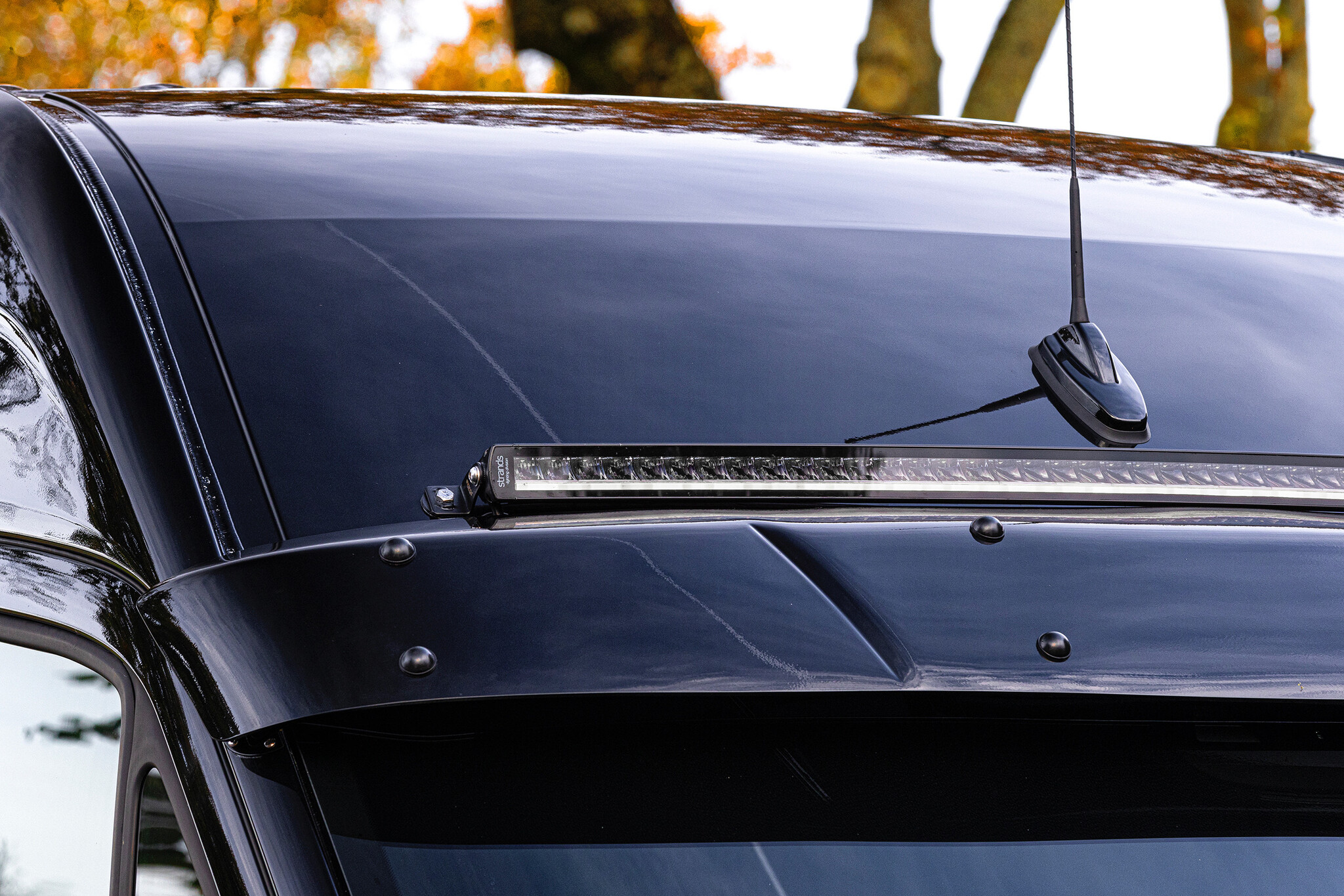 Strands Siberia single row curved 32" of 42''