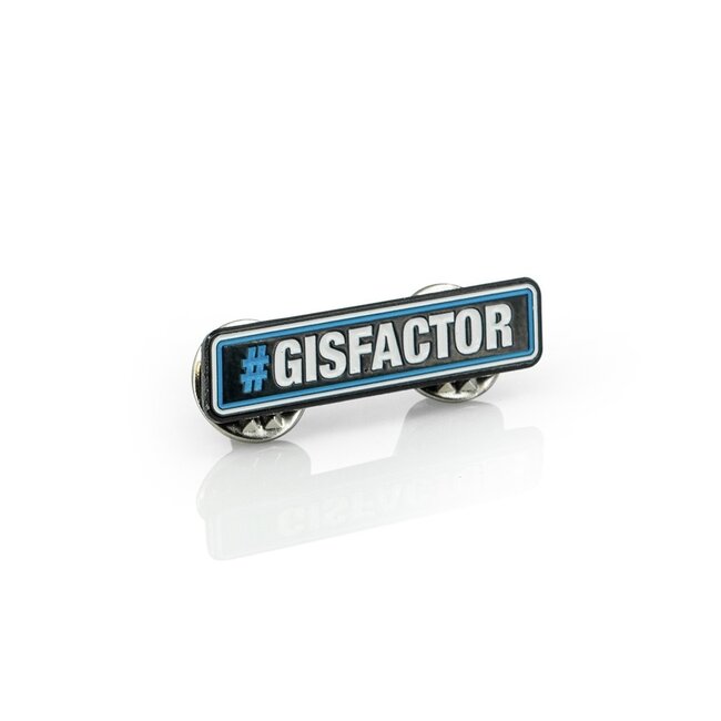 #GISFACTOR Pin