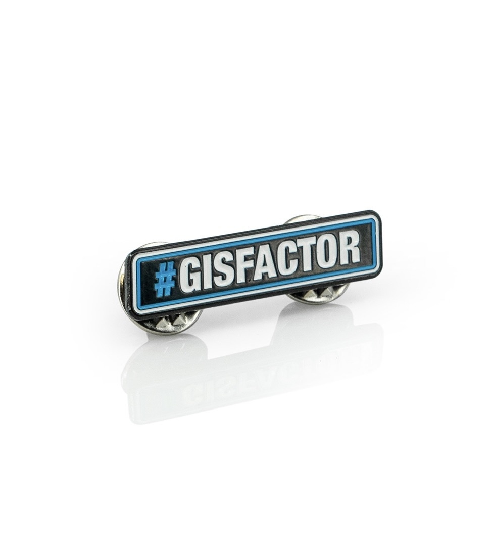 GIS #GISFACTOR Pin