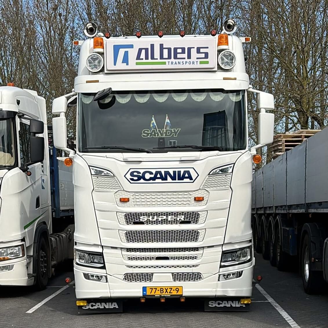 Dichte grill element voor de Next Gen Scania