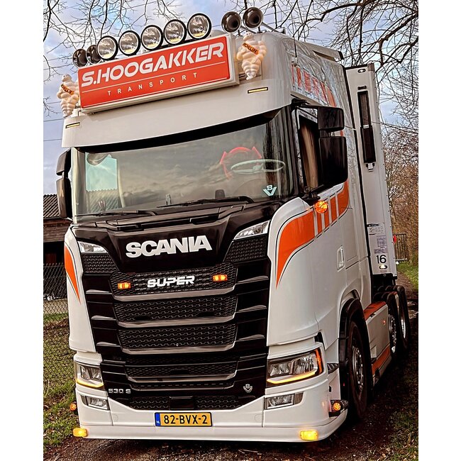 Dichte grill element voor de Next Gen Scania