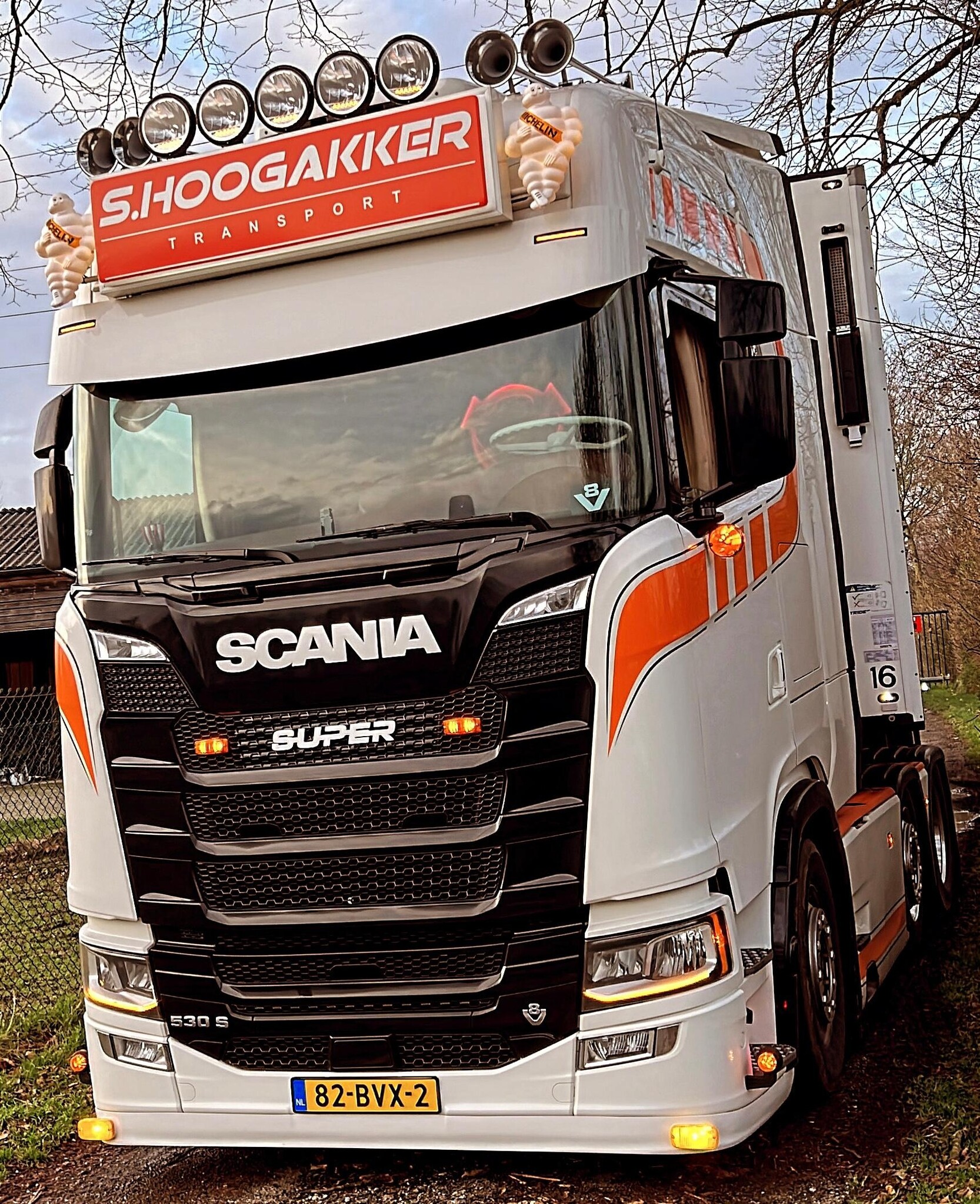Dichte grill element voor de Next Gen Scania