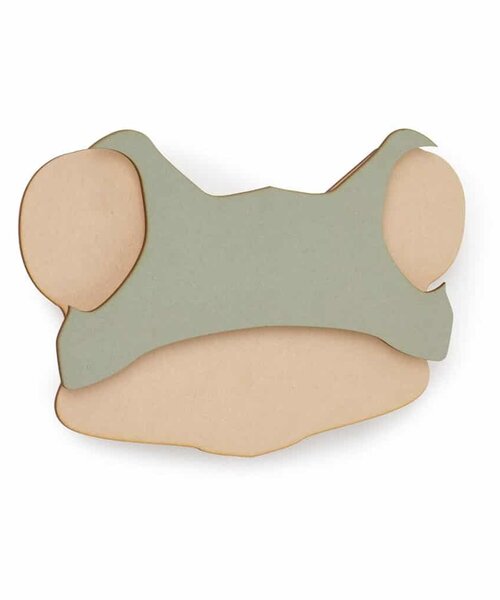 Van Tjalle en Jasper Dieren muurlamp - Kikker