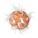 Jw Jw cataction veren bal Jw Jw cataction veren bal