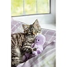 Jolly moggy Jolly moggy under the sea octopus Jolly moggy Jolly moggy under the sea octopus