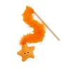 Jolly moggy Jolly moggy under the sea starfish teaser Jolly moggy Jolly moggy under the sea starfish teaser