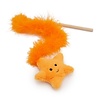 Jolly moggy Jolly moggy under the sea starfish teaser Jolly moggy Jolly moggy under the sea starfish teaser