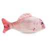 Jolly moggy Jolly moggy natural catnip red snapper Jolly moggy Jolly moggy natural catnip red snapper