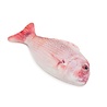 Jolly moggy Jolly moggy natural catnip red snapper Jolly moggy Jolly moggy natural catnip red snapper