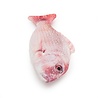 Jolly moggy Jolly moggy natural catnip red snapper Jolly moggy Jolly moggy natural catnip red snapper