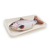 Jolly moggy Jolly moggy natural catnip trout Jolly moggy Jolly moggy natural catnip trout