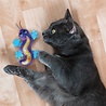 Kong Kong better buzz gecko met catnip Kong Kong better buzz gecko met catnip