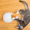 Frolicat Frolicat fox den Frolicat Frolicat fox den