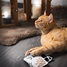 Canadiancat company Canadian cat speelkussen karo met catnip grijs / beige Canadiancat company Canadian cat speelkussen karo met catnip grijs / beige
