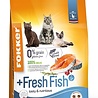 Fokker Fokker kat +fresh fish Fokker Fokker kat +fresh fish