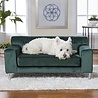 Enchanted pet Enchanted hondenmand / sofa martine emerald groen Enchanted pet Enchanted hondenmand / sofa martine emerald groen