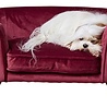 Enchanted pet Enchanted hondenmand / sofa romy wijnrood Enchanted pet Enchanted hondenmand / sofa romy wijnrood