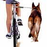 Camon Camon walky dog fietsbeugel Camon Camon walky dog fietsbeugel