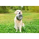 Happy pet Happy pet voerbak rvs Happy pet Happy pet voerbak rvs
