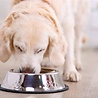 Happy pet Happy pet voerbak antislip Happy pet Happy pet voerbak antislip