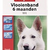 Beaphar Beaphar vlooienband hond wit 6 mnd Beaphar Beaphar vlooienband hond wit 6 mnd