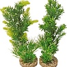 Merkloos Aquarium plant 349701 Merkloos Aquarium plant 349701