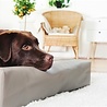 Bia bed Bia bed hondenmand original taupe Bia bed Bia bed hondenmand original taupe
