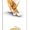 Gimcat Gimcat multivitaminepasta + 12 vitaminen Gimcat Gimcat multivitaminepasta + 12 vitaminen