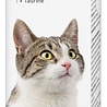 Beaphar Beaphar multi-vit laveta kat met taurine Beaphar Beaphar multi-vit laveta kat met taurine
