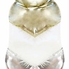 Croci Croci hondenjas padded gilded Croci Croci hondenjas padded gilded