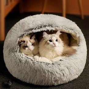 Onaangeroerd barsten labyrint Katten benodigdheden bestellen? Bekijk ons ruime aanbod online -  Sweetpets.nl