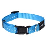 Rogz for dogs Rogz for dogs nitelife halsband turquoise Rogz for dogs Rogz for dogs nitelife halsband turquoise