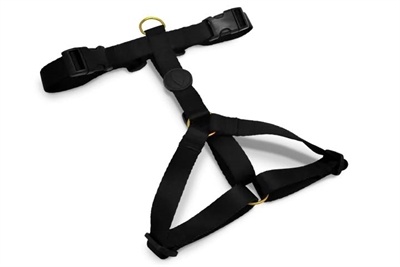 Morso Morso hondentuig y-tuig gerecycled gold caviar goud Morso Morso hondentuig y-tuig gerecycled gold caviar goud