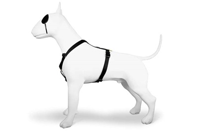 Morso Morso hondentuig y-tuig gerecycled gold caviar goud Morso Morso hondentuig y-tuig gerecycled gold caviar goud