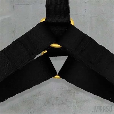 Morso Morso hondentuig y-tuig gerecycled gold caviar goud Morso Morso hondentuig y-tuig gerecycled gold caviar goud