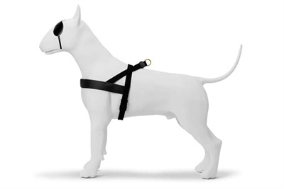 Morso Morso norwegian hondentuig gerecycled gold caviar goud Morso Morso norwegian hondentuig gerecycled gold caviar goud