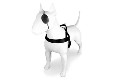 Morso Morso norwegian hondentuig gerecycled gold caviar goud Morso Morso norwegian hondentuig gerecycled gold caviar goud