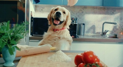 Morso Morso halsband hond gerecycled bubble leo roze Morso Morso halsband hond gerecycled bubble leo roze