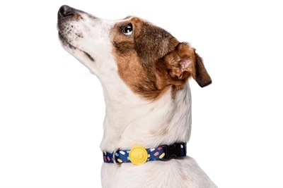 Morso Morso halsband hond gerecycled color invaders paars Morso Morso halsband hond gerecycled color invaders paars