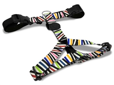 Morso Morso hondentuig y-tuig gerecycled spaghetti incident