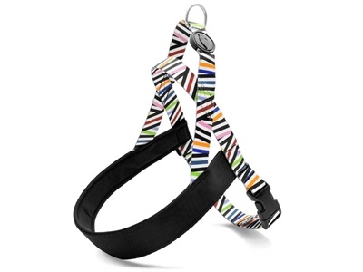 Morso Morso norwegian hondentuig gerecycled spaghetti incident Morso Morso norwegian hondentuig gerecycled spaghetti incident