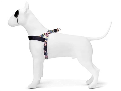 Morso Morso norwegian hondentuig gerecycled spaghetti incident Morso Morso norwegian hondentuig gerecycled spaghetti incident