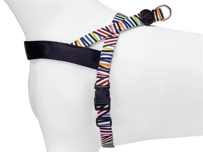 Morso Morso norwegian hondentuig gerecycled spaghetti incident Morso Morso norwegian hondentuig gerecycled spaghetti incident