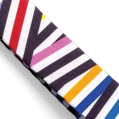 Morso Morso hondenriem gerecycled spaghetti incident