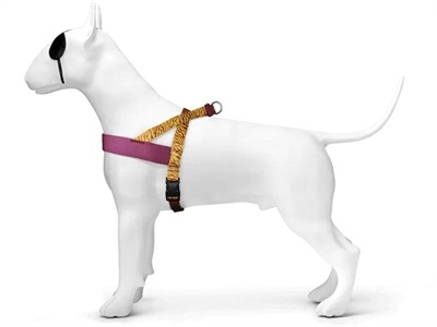 Morso Morso norwegian hondentuig gerecycled jungle drum oranje